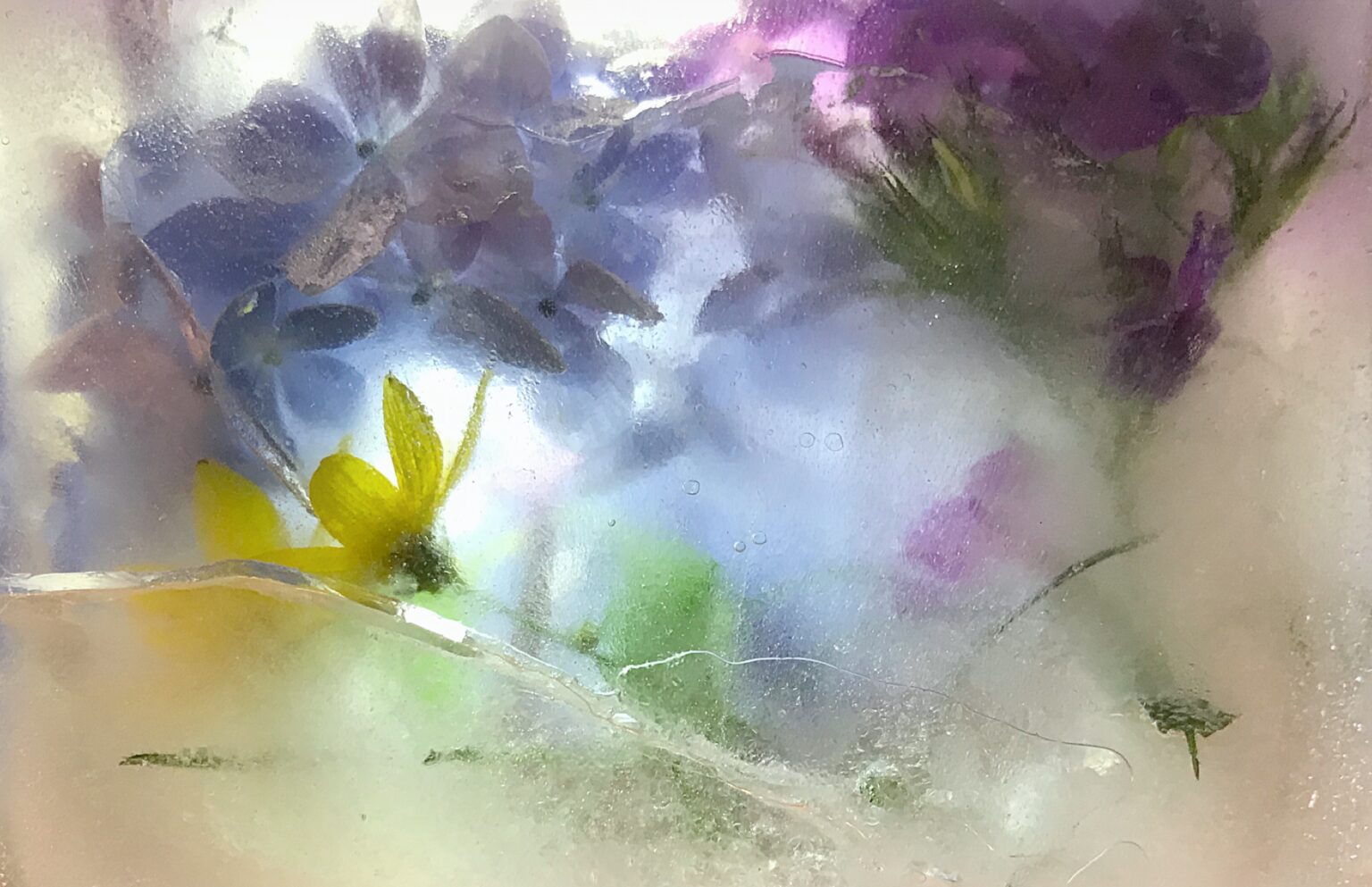 Ice Flowers