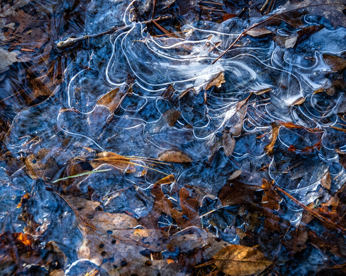 Winter Ice