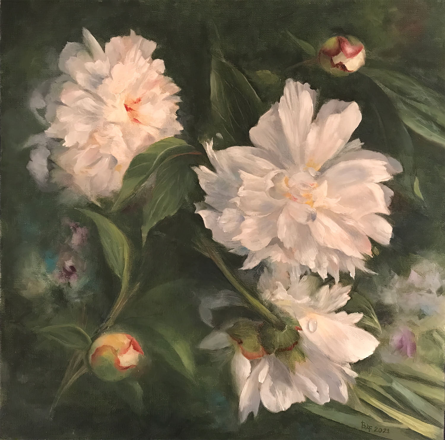Peonies, by Bonnie Frederico