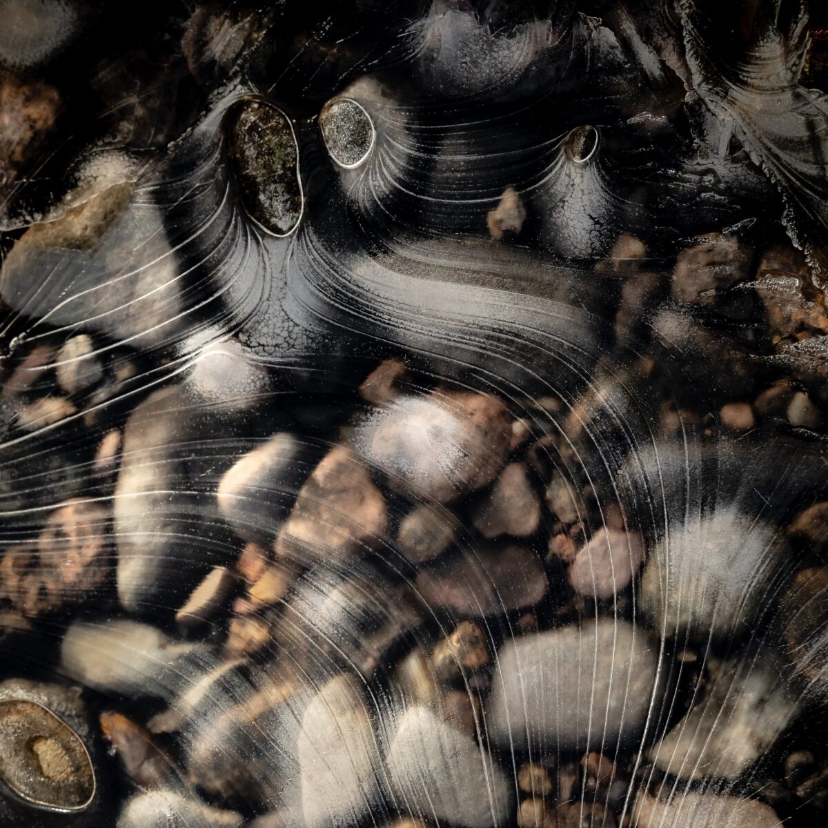 On the Rocks, by Kenneth Salome