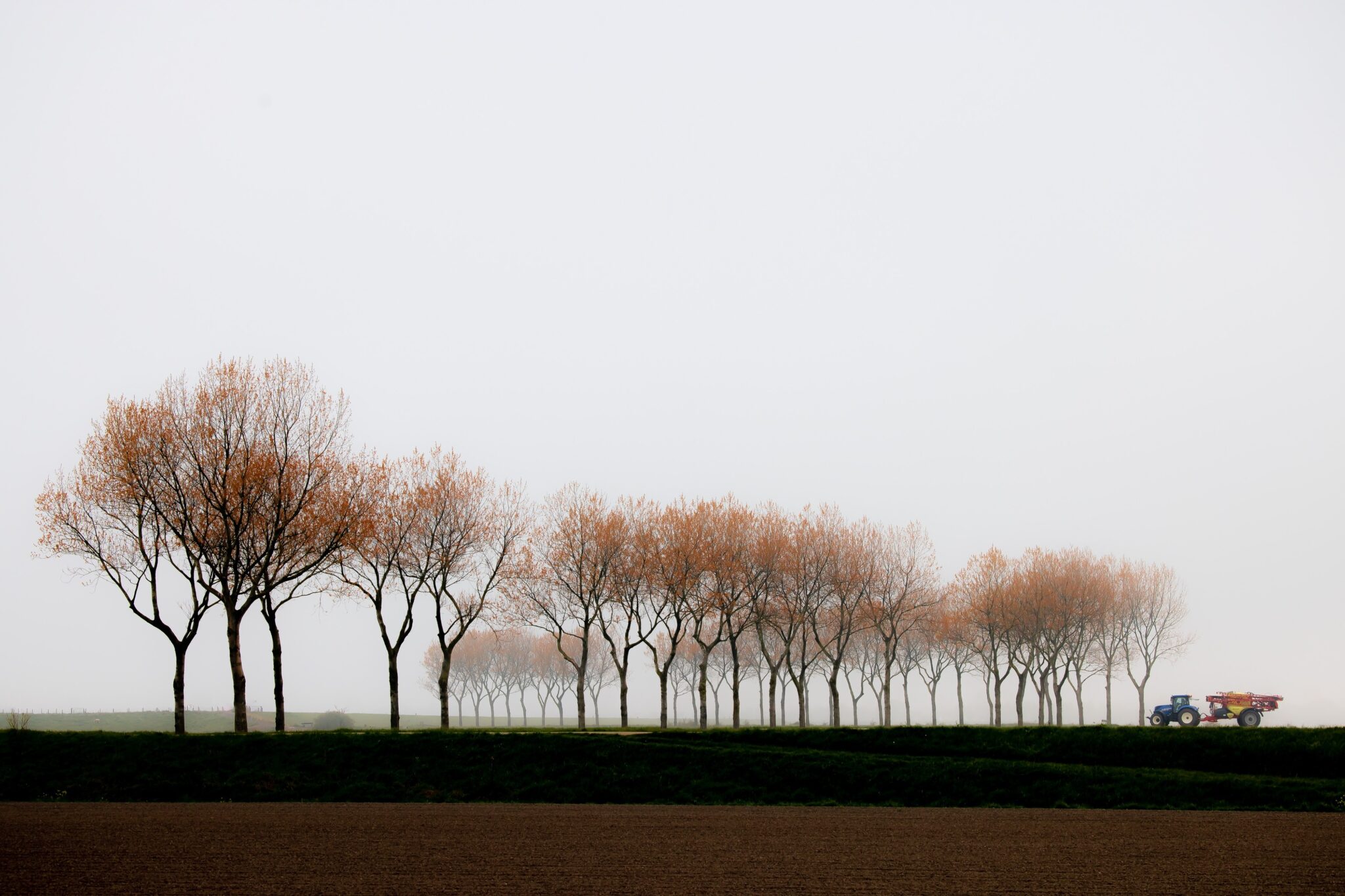 Foggy Holland, by David Long
