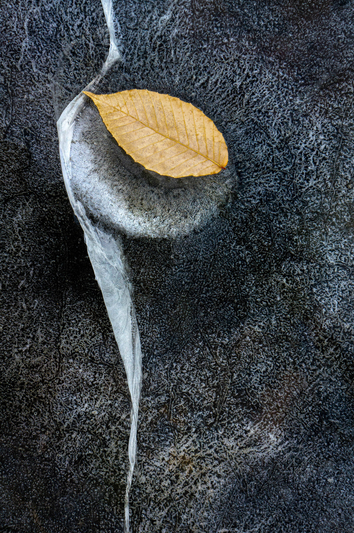 Taken, by Kenneth Salome
