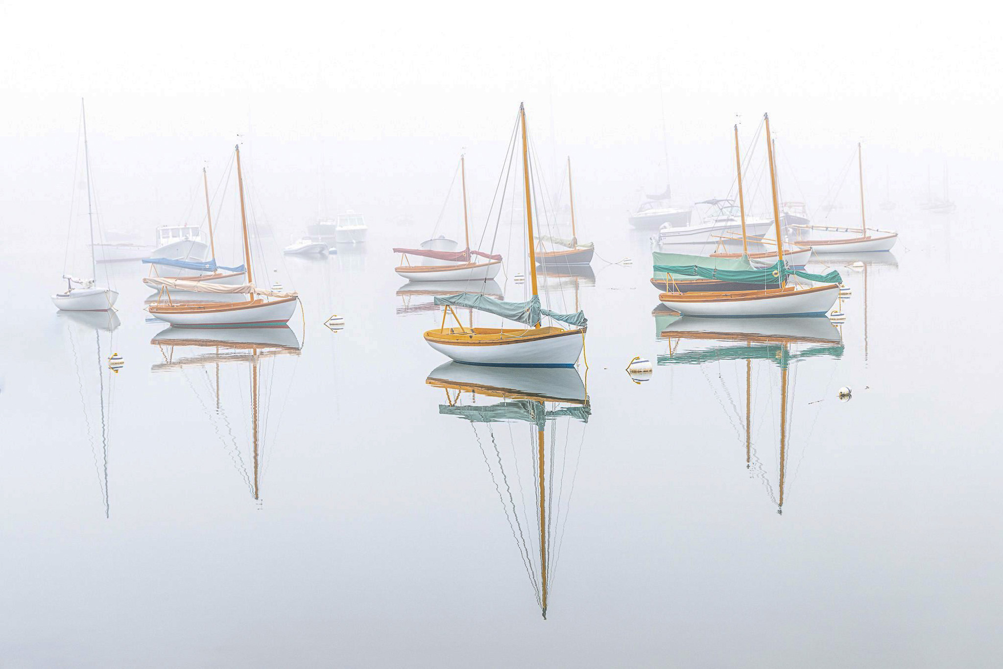 Quissett Harbor, by David Long