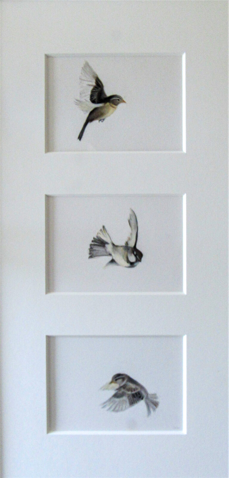 Three Aloft, by Carolyn Kinloch-Winkler