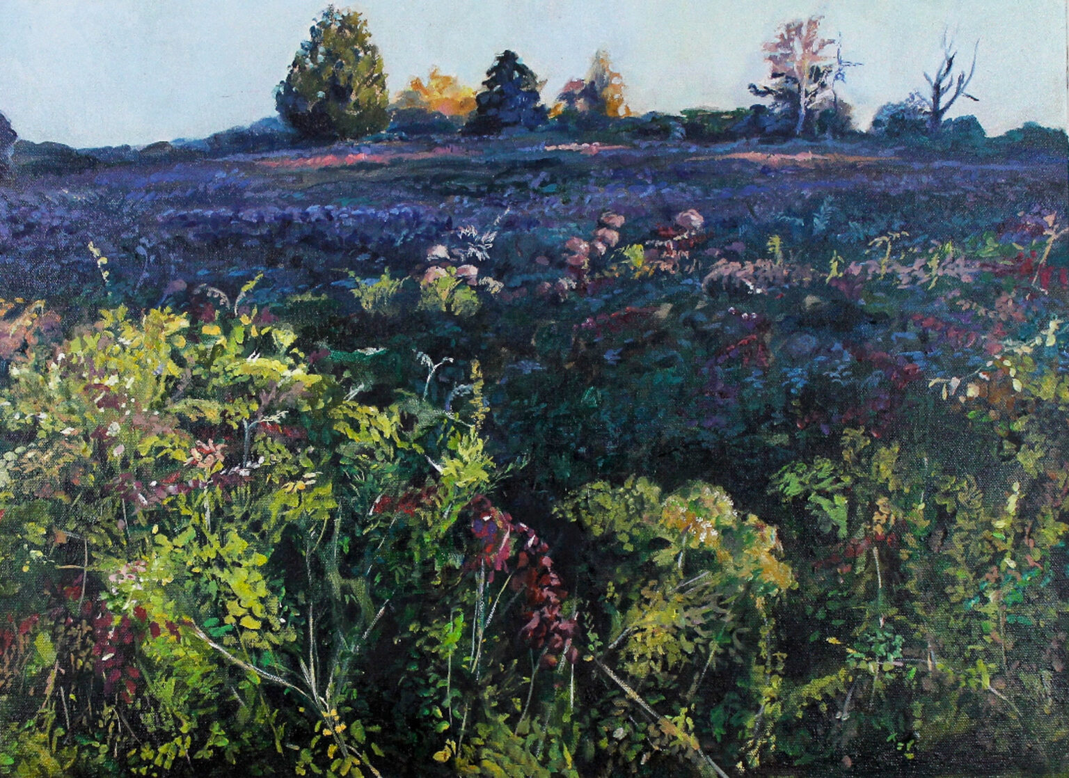Field Study, by Louise Winant