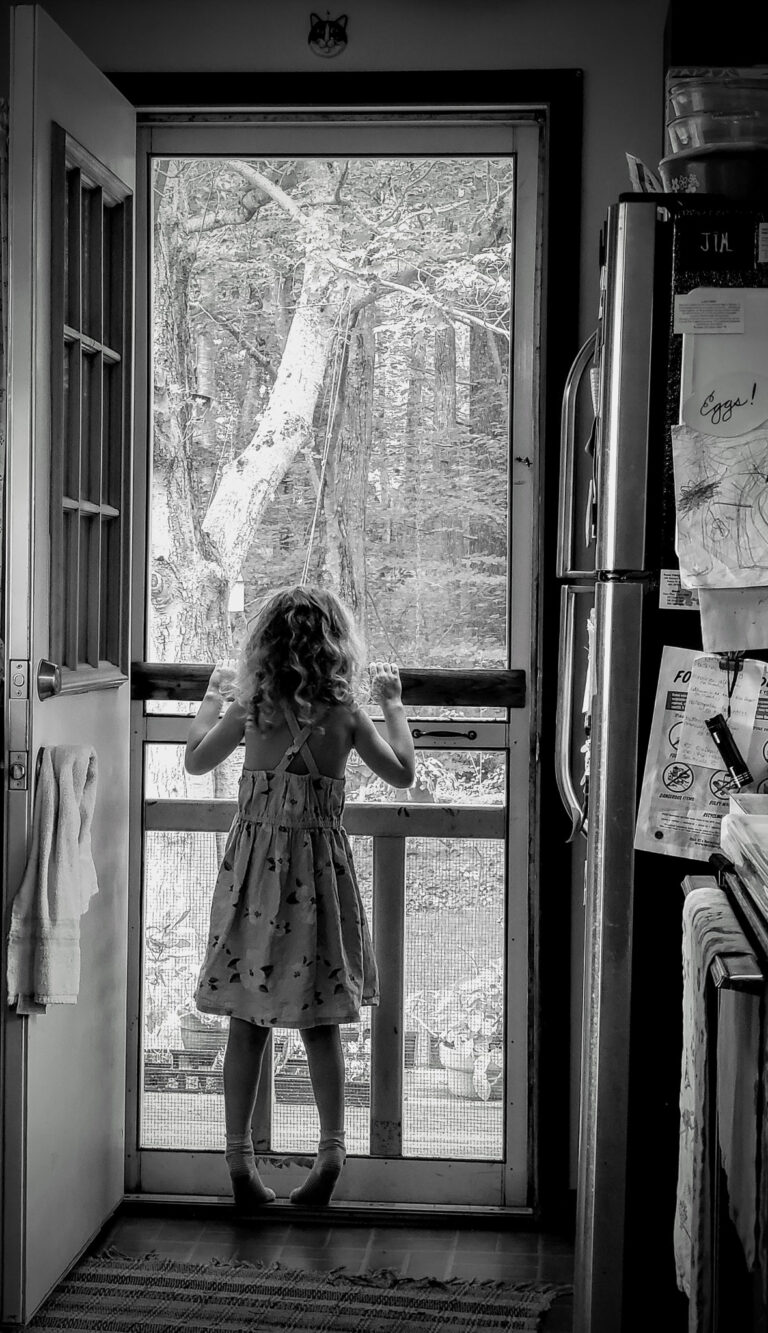 Bird Watching at Grandma's, by Lindsey Van Gieson