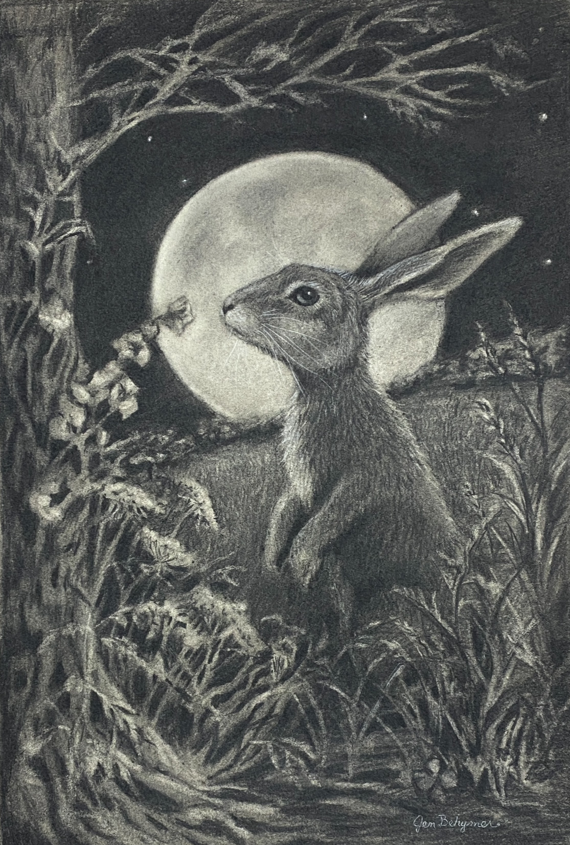 Once Upon a Rabbit Moon