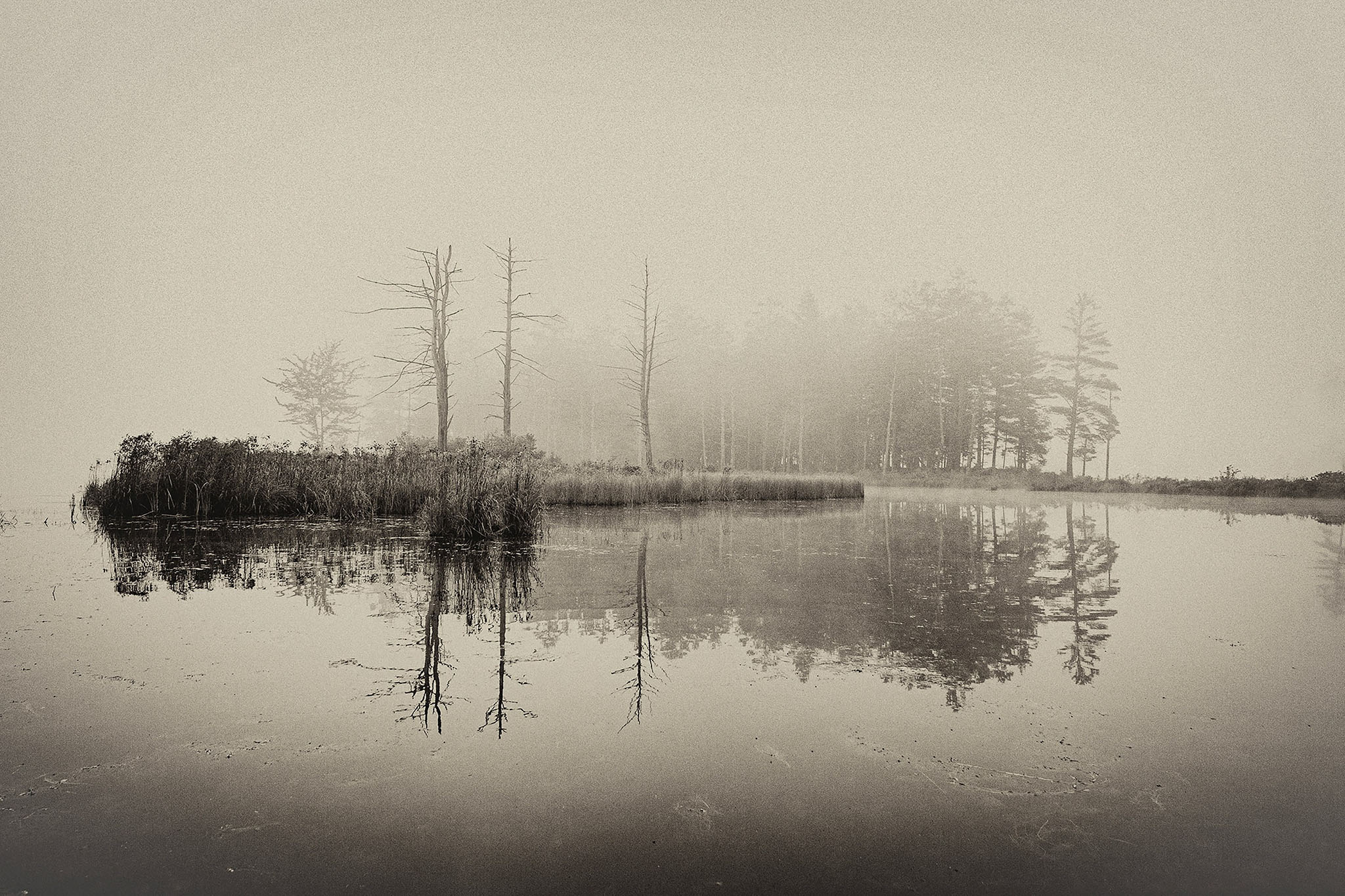 Fog Over a Small Island in Tully Lake
